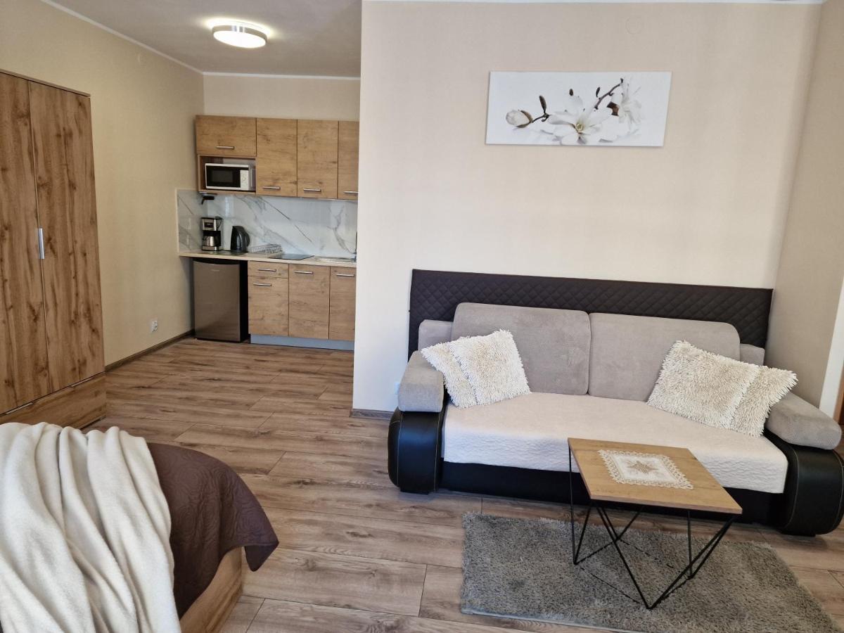 Aparthouse Apartamenty Centrum - In The City Center Near The Train Station Katoviçe Dış mekan fotoğraf